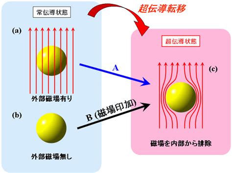 磁場影響|磁場が物質の挙動に及ぼす影響